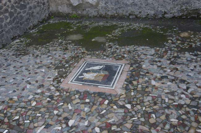 Pompeii  2254