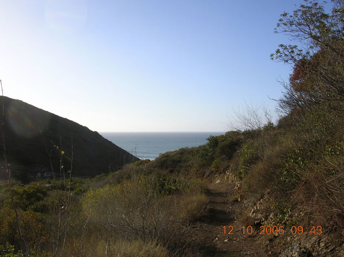 La Jolla Canyon  2428