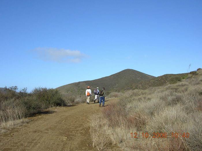 La Jolla Canyon  2437