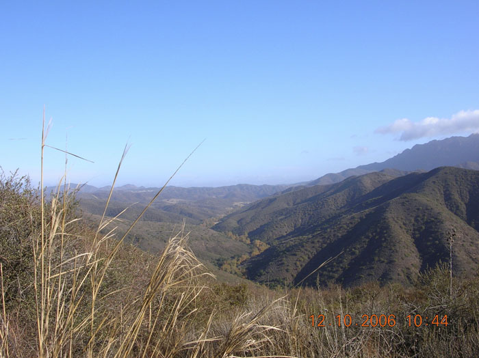 La Jolla Canyon  2438