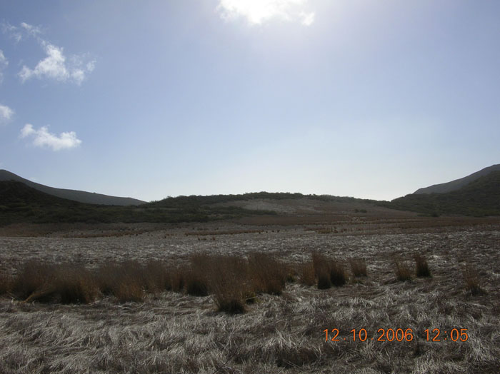 La Jolla Canyon  2443