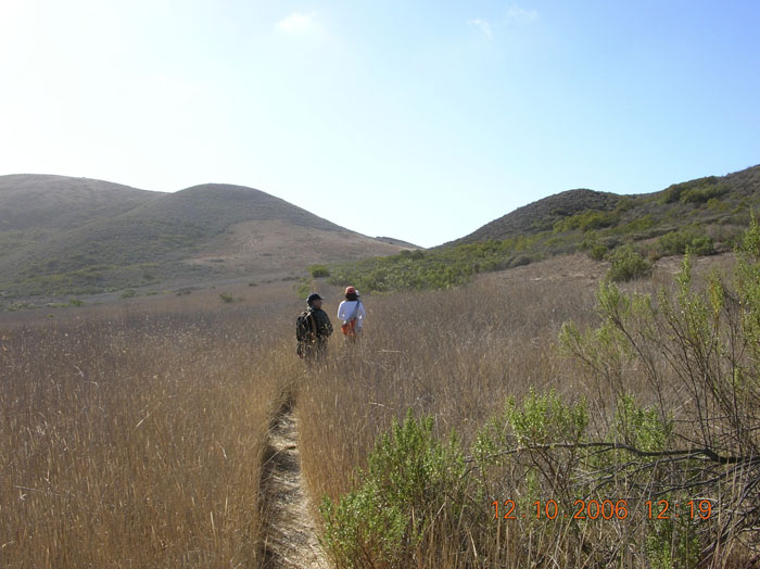 La Jolla Canyon  2445