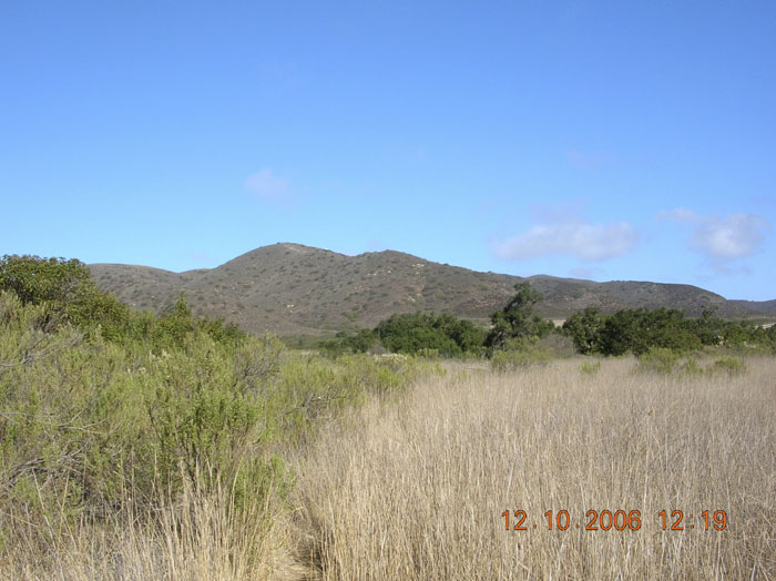 La Jolla Canyon  2446