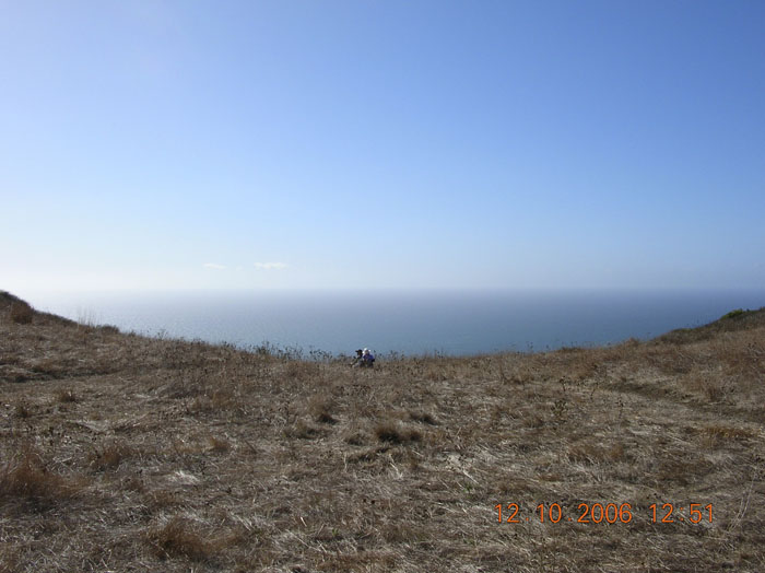 La Jolla Canyon  2447