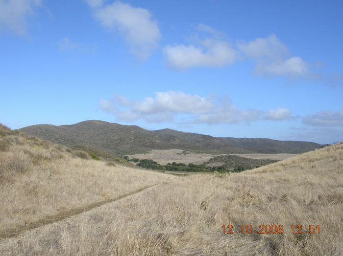 La Jolla Canyon  2448