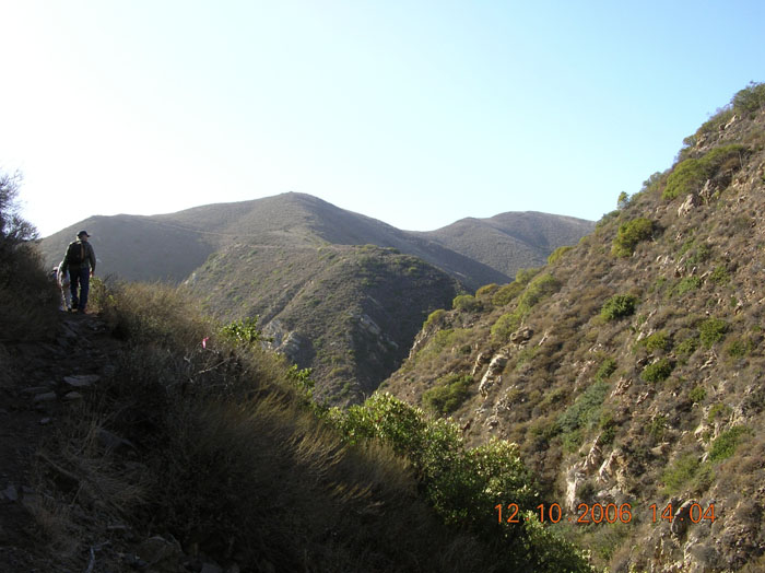 La Jolla Canyon  2457