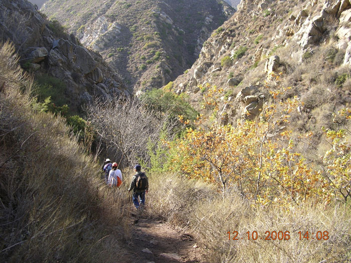 La Jolla Canyon  2458