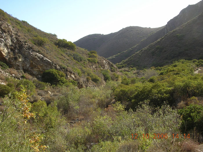 La Jolla Canyon  2463