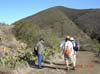 La Jolla Canyon  2454