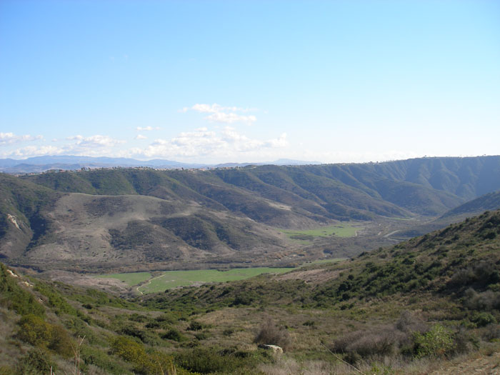 P1150049