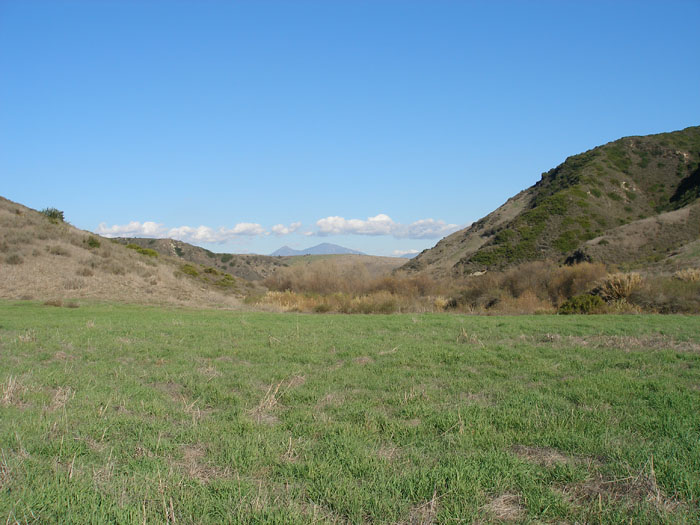 P1150055