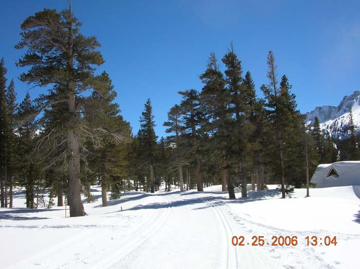 DSCN2004