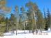 DSCN2005