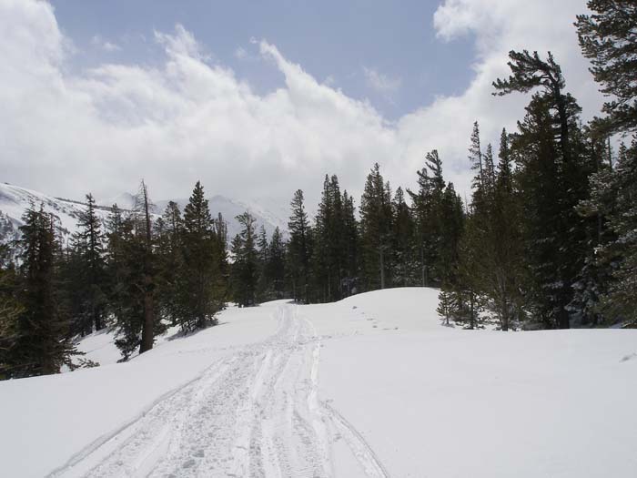 Mammoth  111
