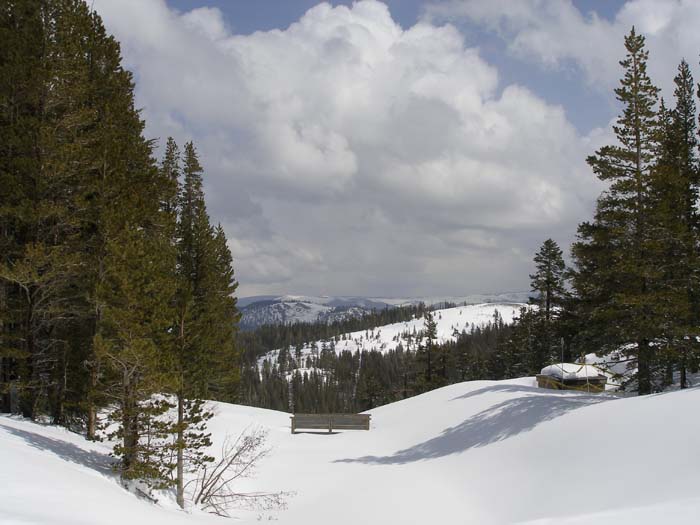 Mammoth  114