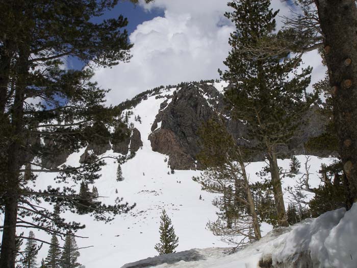 Mammoth  122