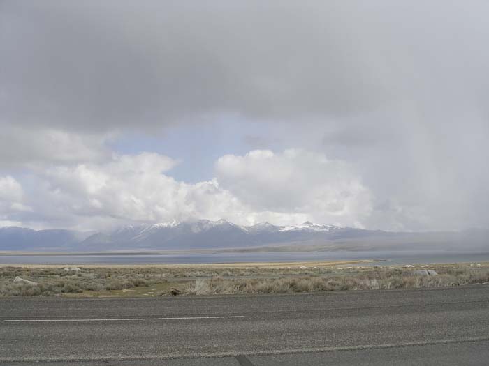 Mammoth  123
