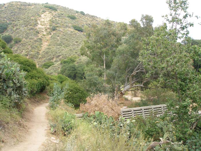 P6240003