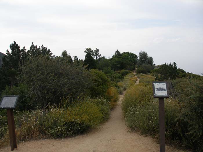 P6250051