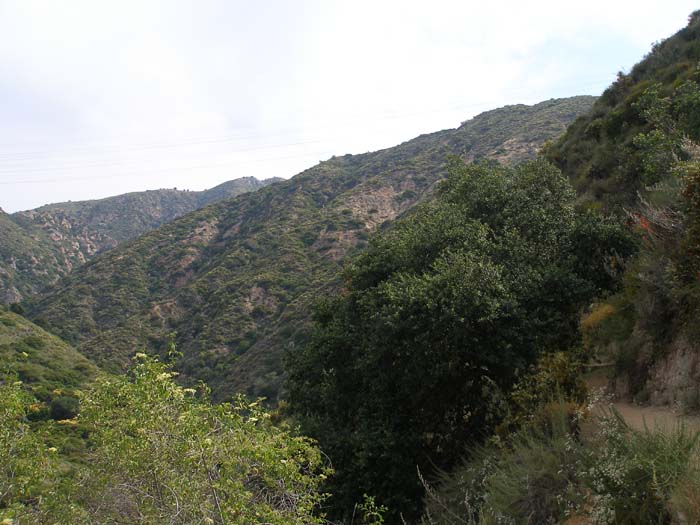 P6250057