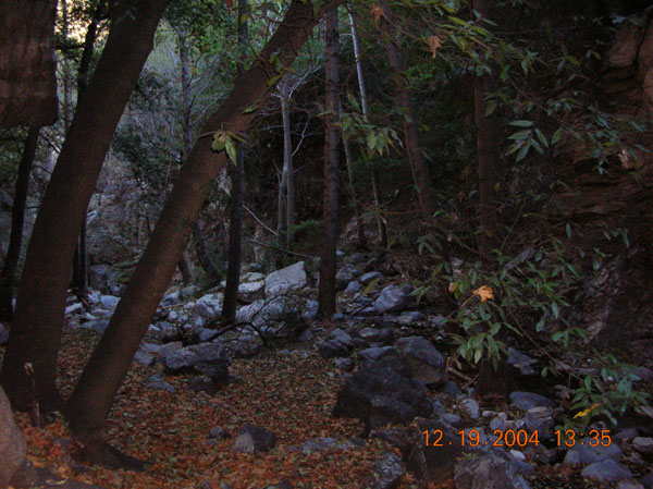 DSCN0609