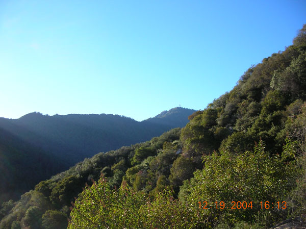 DSCN0619