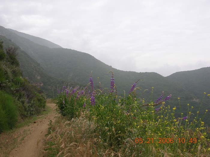 DSCN2108