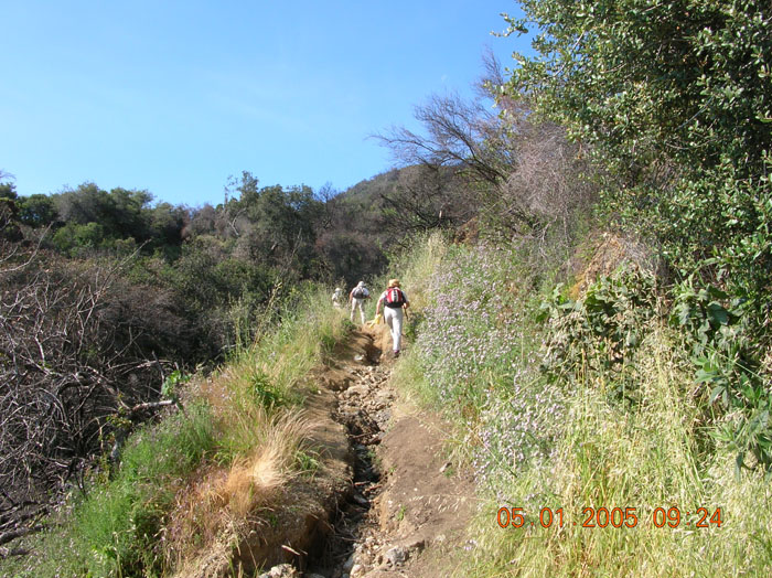 DSCN0936