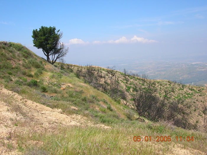 DSCN0954