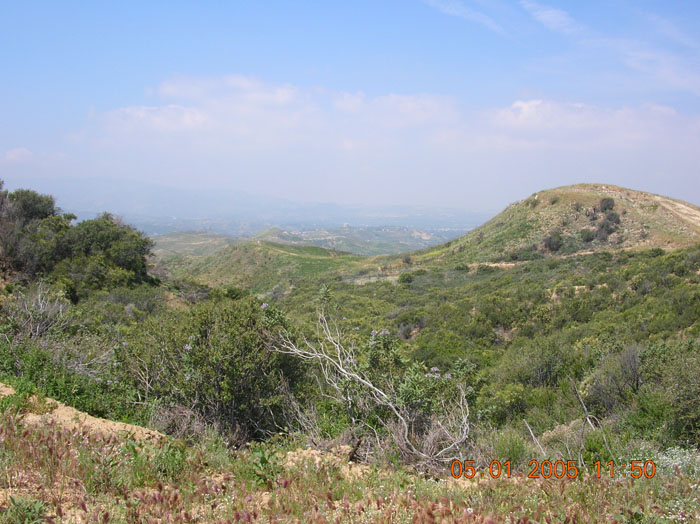 DSCN0963