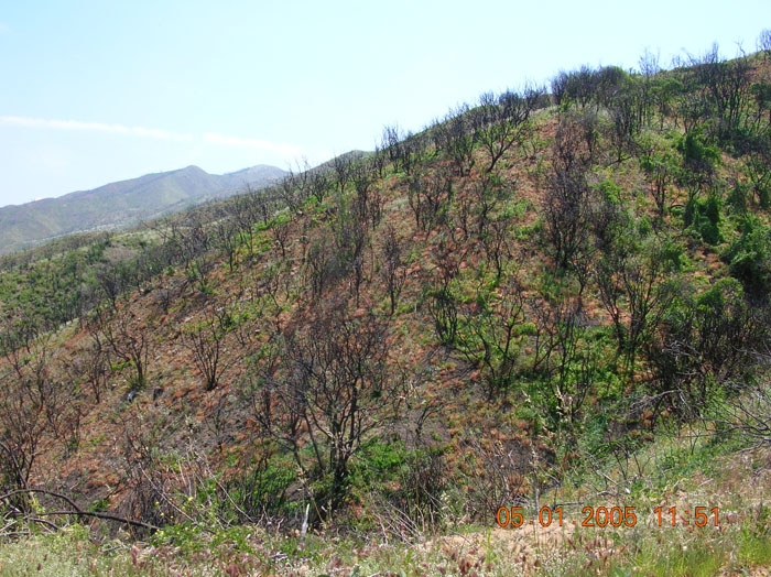 DSCN0964