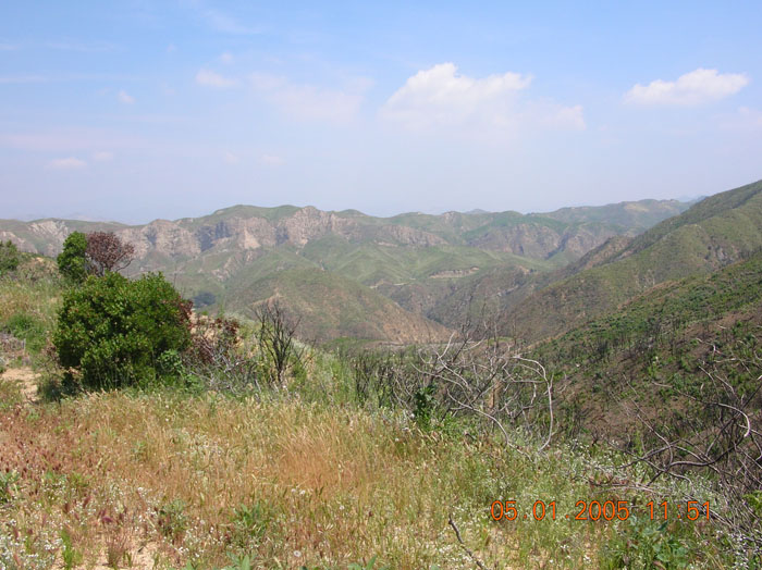 DSCN0965