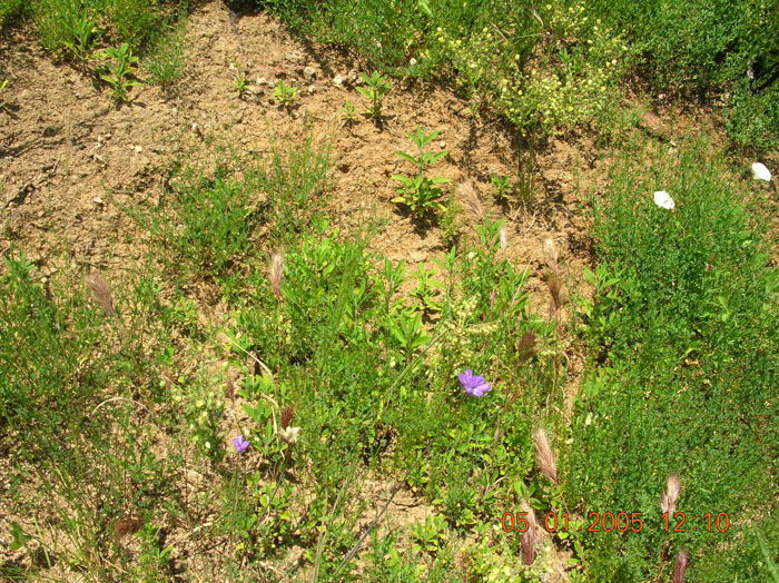 DSCN0975