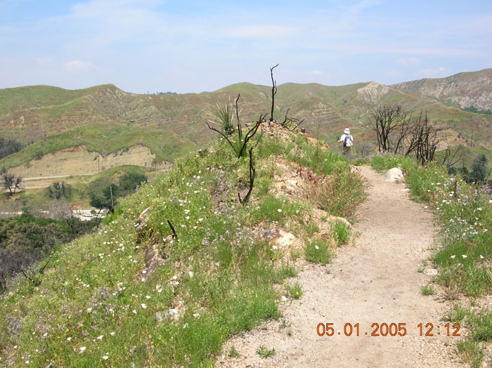 DSCN0976