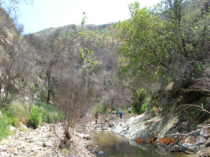 DSCN0980