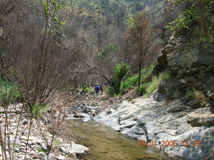 DSCN0981