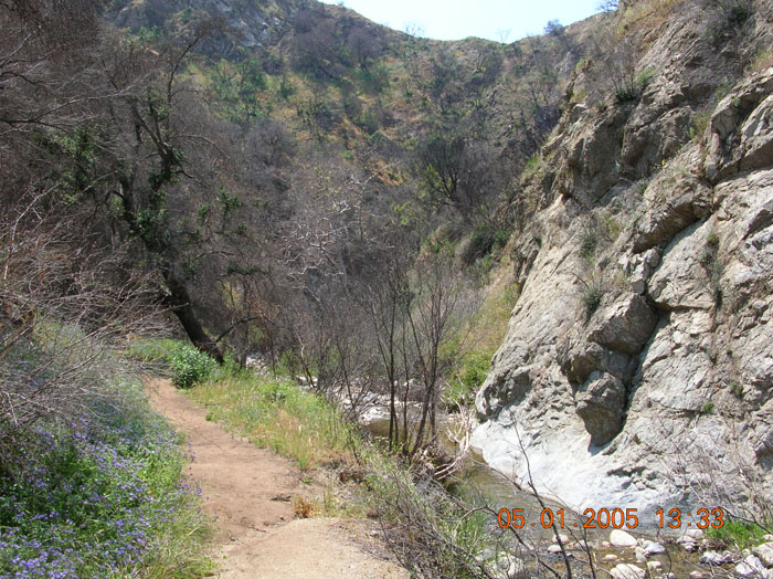 DSCN0983