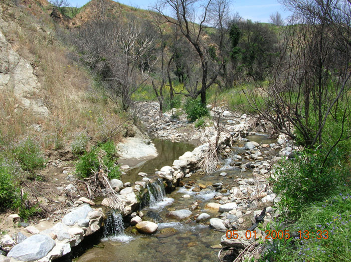 DSCN0984