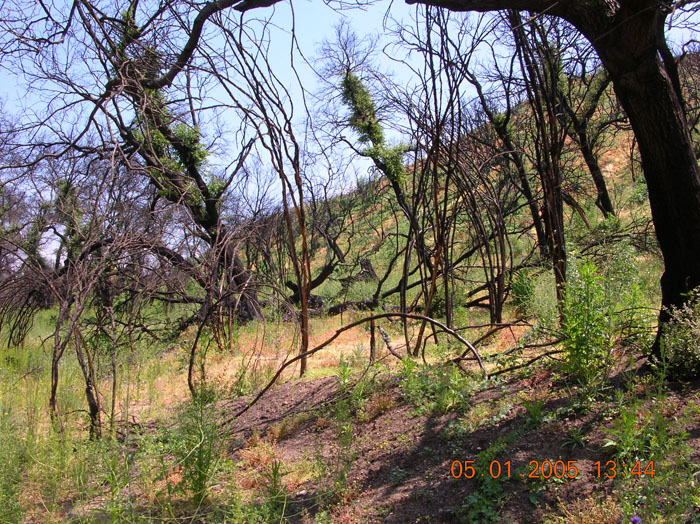 DSCN0987