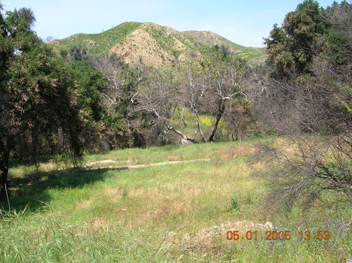 DSCN0990