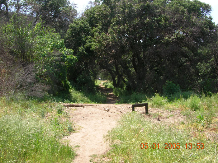 DSCN0991