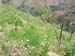 DSCN0974