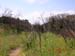 DSCN0988