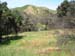DSCN0990
