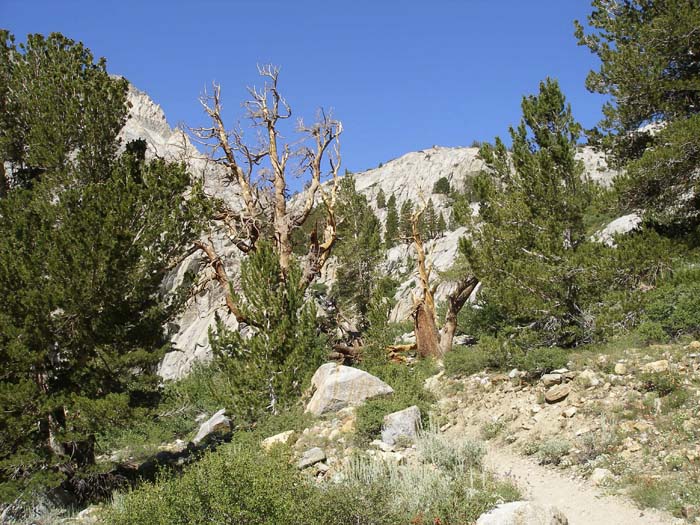 Lake Sabrina  605