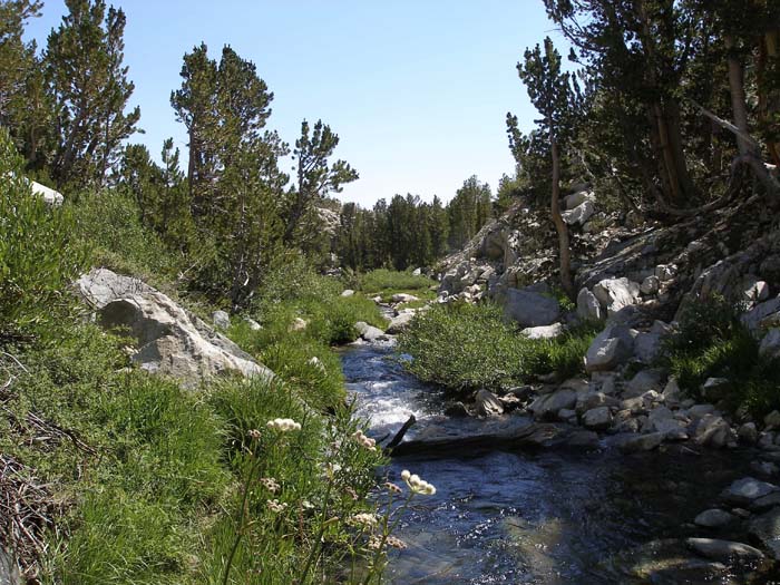 Lake Sabrina  693