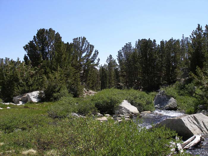 Lake Sabrina  695