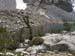 Lake Sabrina  645