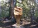 Lake Sabrina  667