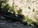 Lake Sabrina  680